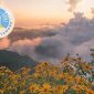 Breathwork in San Pancho, Nayarit